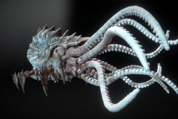 Kraken 13at сайт