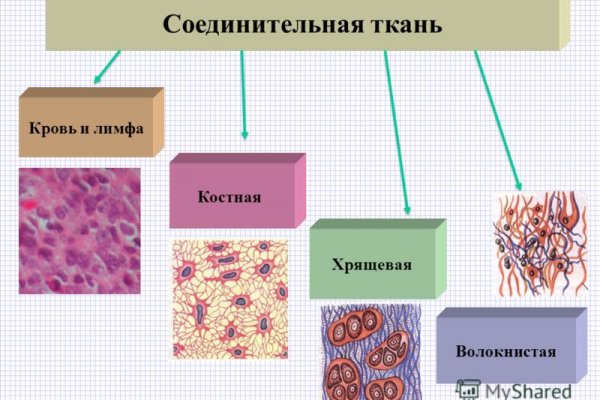 Ссылка на сайт кракен в тор