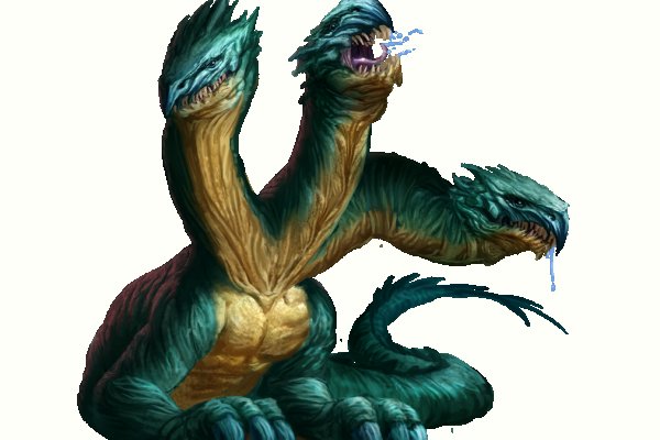 Kraken 12
