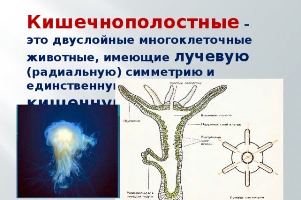 Кракен это известный маркетплейс