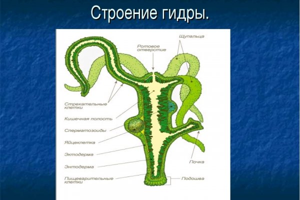 Как сделать заказ на кракен