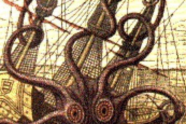 Kraken 23 at