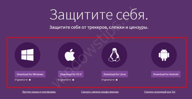 Кракен маркет только через тор скачать